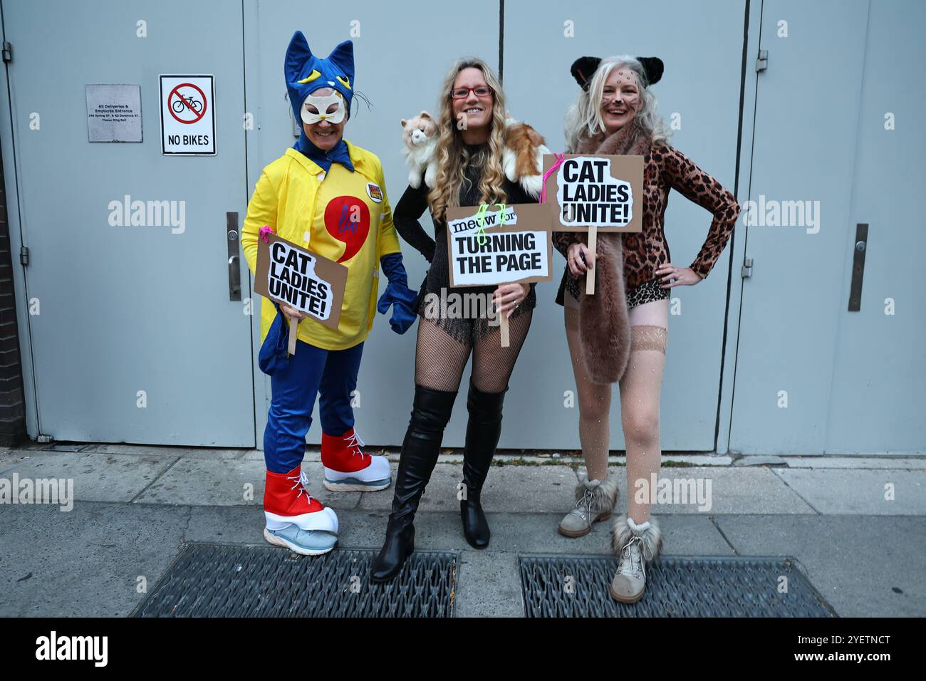 Three women dressed as cats pose for a photo for the New York’s 51st ...