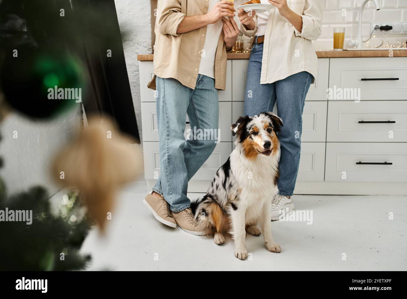 A couple enjoys snacks while their dog sits nearby, creating a heartwarming atmosphere at home. Stock Photo