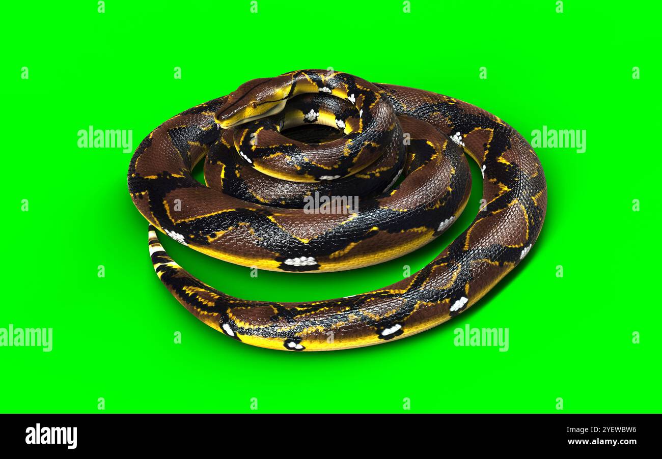 3d Illustration of A Golden Reticulated Python, Boa Constrictor The ...