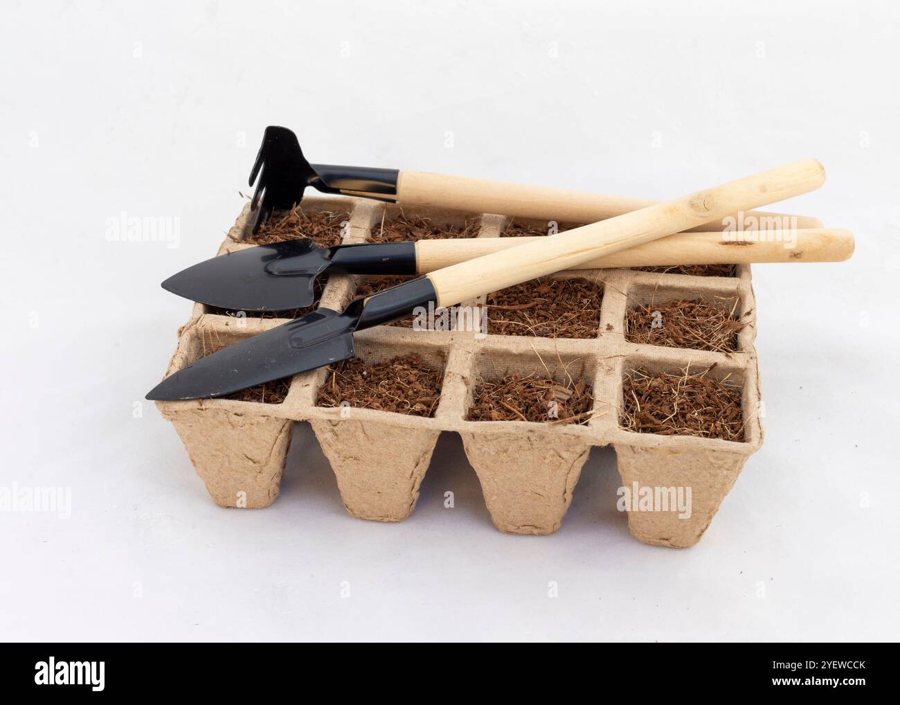 Mini Gardening Tools on Seedling Tray with Soil for Planting Stock Photo