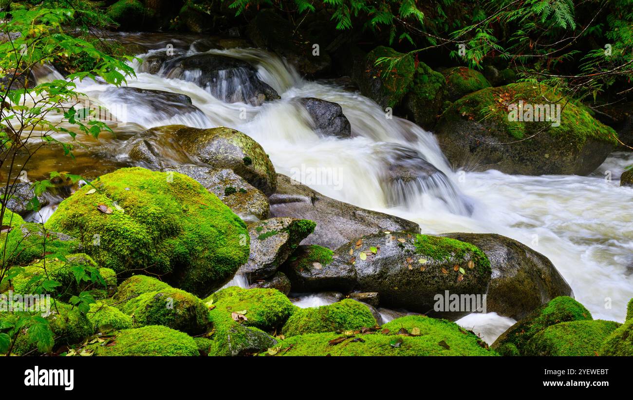 Fresh water mountain stream falling through green moss covered rocks Stock Photo