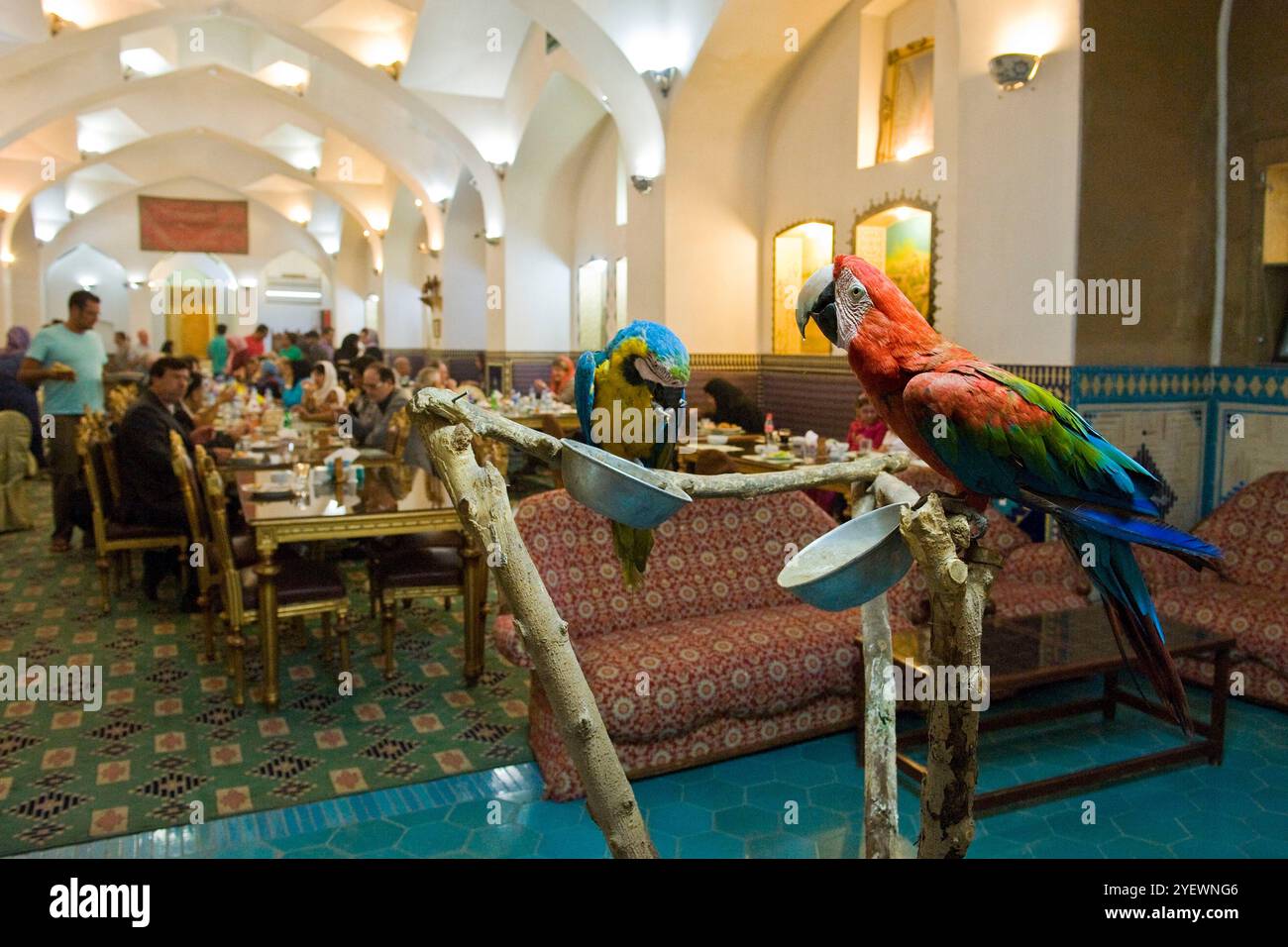 Iran. Yazd. Moshir Al Mamalek Hotel Garden. Parrots Stock Photo - Alamy - Hotels For Parrots In Backyard