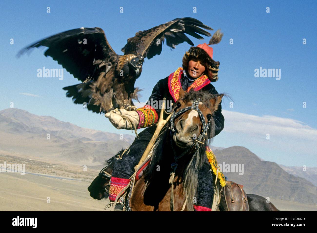 Knight Asia Asia, Mongolia, Altai, Knight With Eagle Stock Photo - Alamy