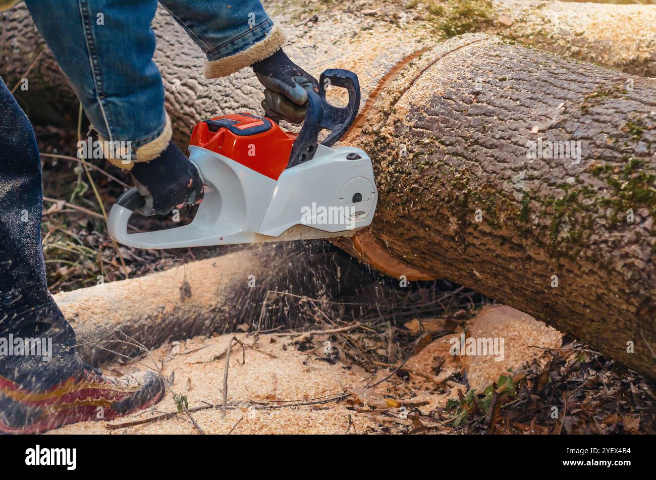 Worker using chainsaw cutting hi-res stock photography and images - Alamy