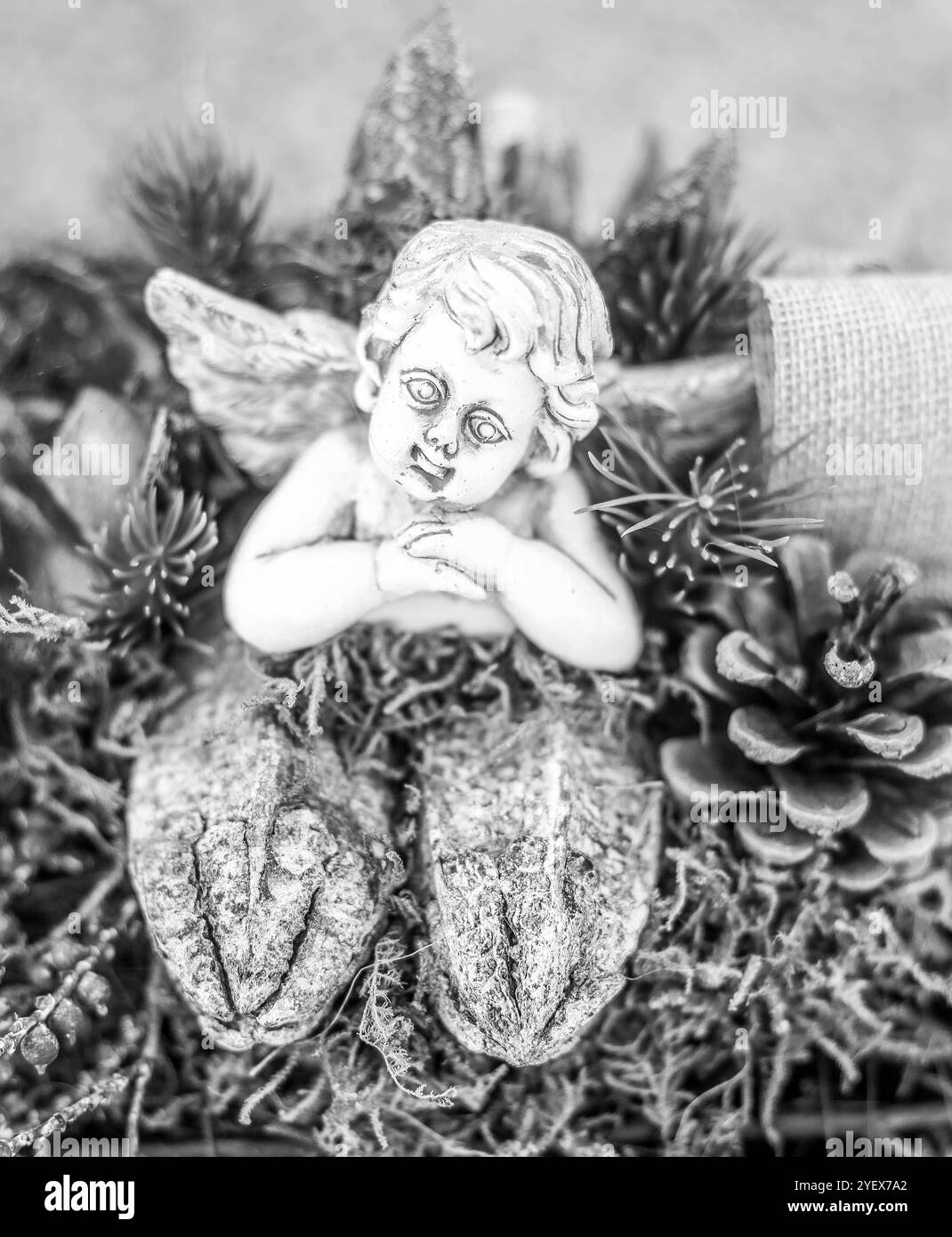 01.11..2024, Braunau am Inn, AUT, Unterwegs in der Oberösterreich, Fototermin, Themenbild, Verschiedene Themenbilder, Symbolbild, Friedhof, Stadtfriedhof Braunau, im Bild Friedhof, Grab, Gräber, Friedhof, Gesteck, Blumen, Blumenschmuck, Kreuz, Kruzifix, Jesu Christi, Allerheiligen, Engerl, Engel, Kerzen, Grab, Grablicht, Blumen, Symbolbild, Feature, Herbst 2024, *** 01 11 2024, Braunau am Inn, AUT, On the road in Upper Austria, photo session, theme picture, various theme pictures, symbol picture, cemetery, Braunau city cemetery, in the picture cemetery, grave, graves, cemetery, flower arrangem Stock Photo