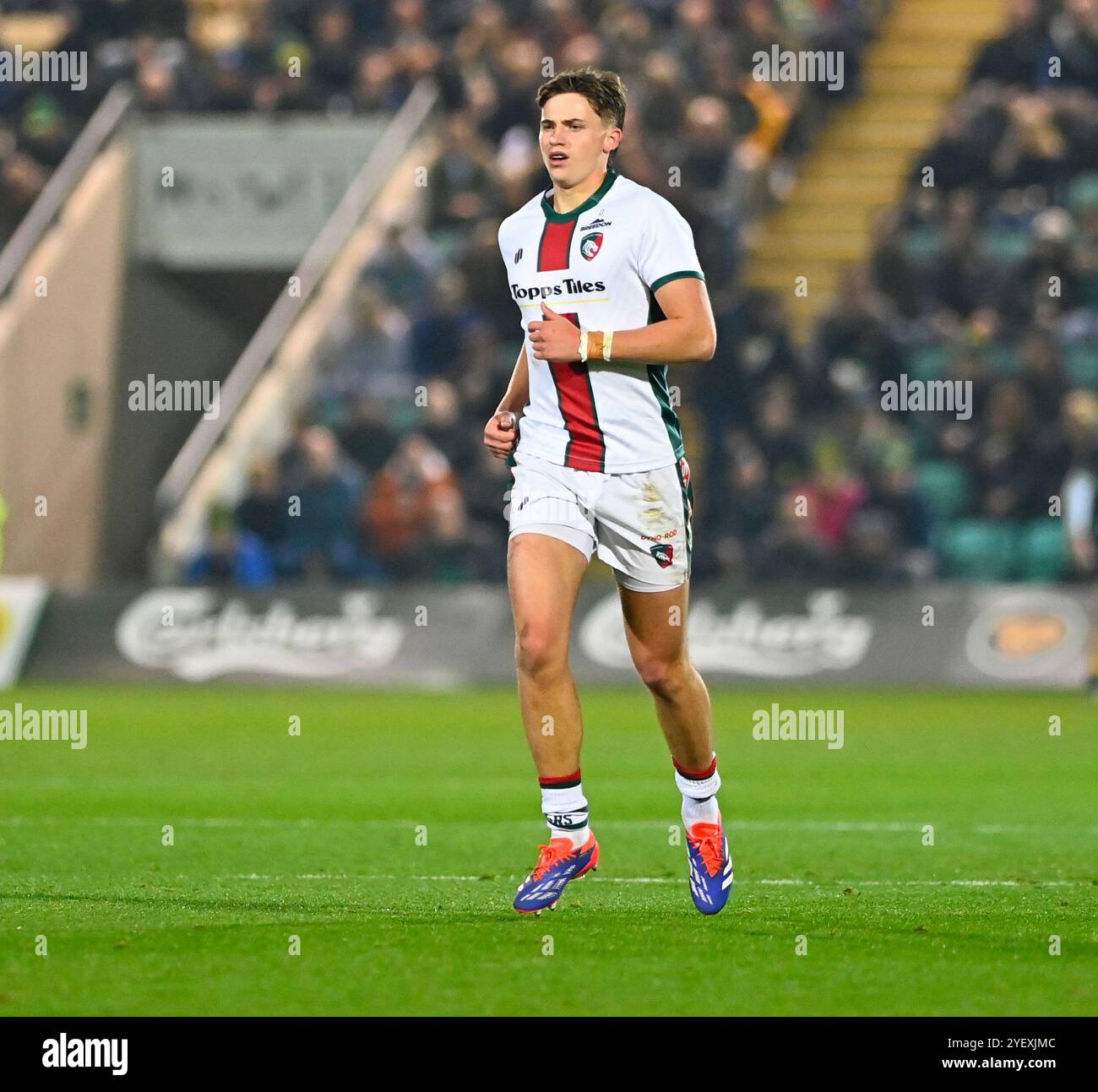 Northampton, UK. 1st Nov, 2024. George Pearson of Leicester Tigers during the Premiership Cup Rugby match between Northampton Saints and Leicester Tigers at cinch Stadium Franklin's Gardens. Northampton UK. Credit: PATRICK ANTHONISZ/Alamy Live News Stock Photo