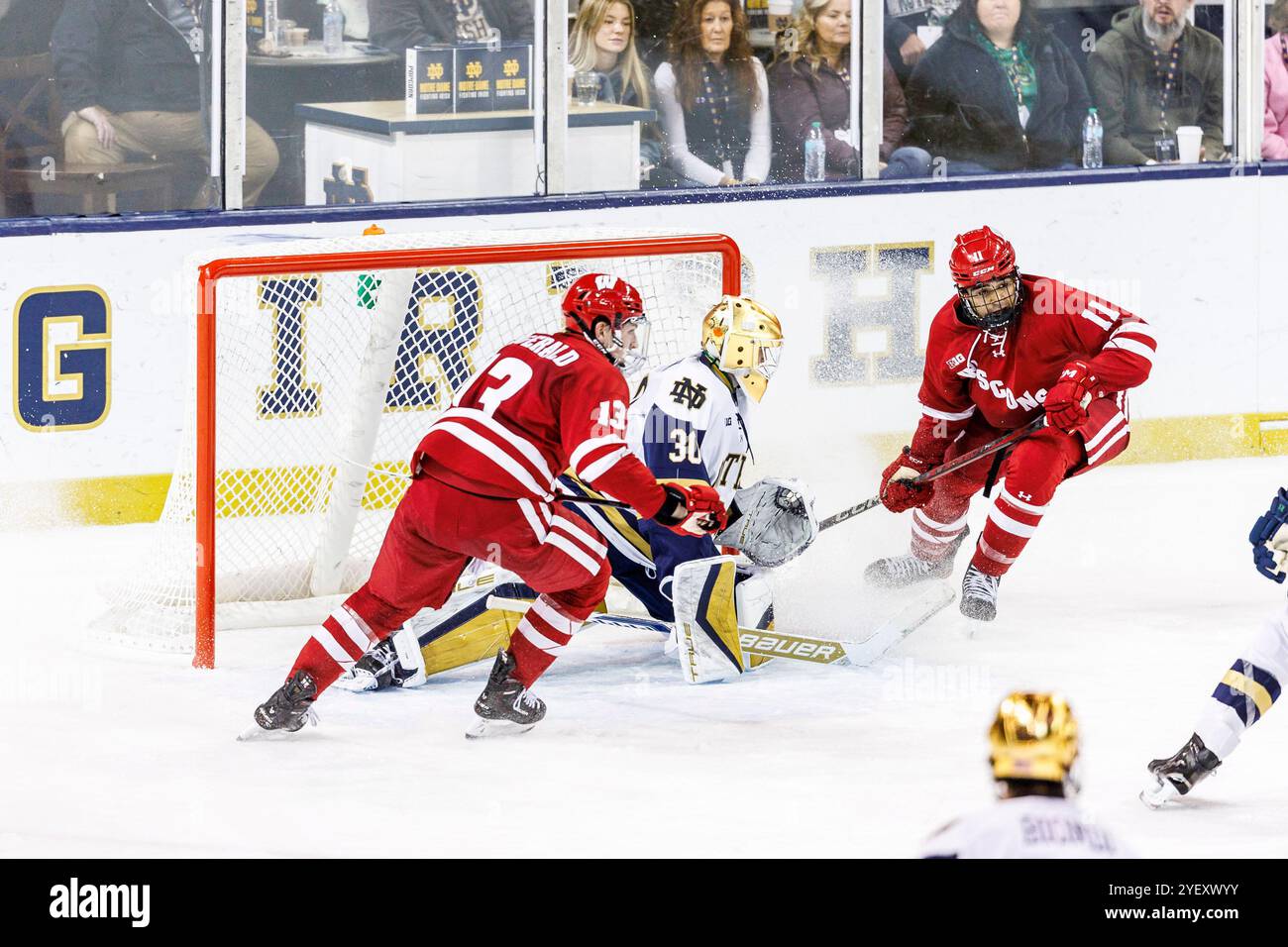 South Bend, Indiana, USA. 01st Nov, 2024. Notre Dame goaltender Owen Say (30) makes the save as Wisconsin forward Christian Fitzgerald (13) and Wisconsin forward Simon Tassy (11) look for the rebound during NCAA hockey game action between the Wisconsin Badgers and the Notre Dame Fighting Irish at Compton Family Ice Arena in South Bend, Indiana. John Mersits/CSM/Alamy Live News Stock Photo