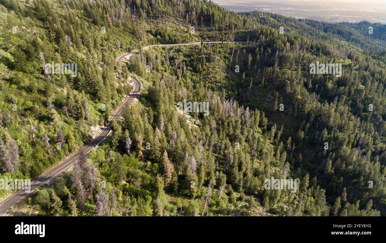 Beautiful road surrounded lush greenery hi-res stock photography and ...