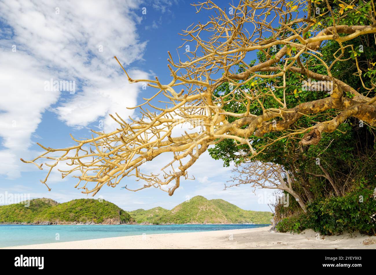 Beautiful tropical beach under hi-res stock photography and images - Alamy