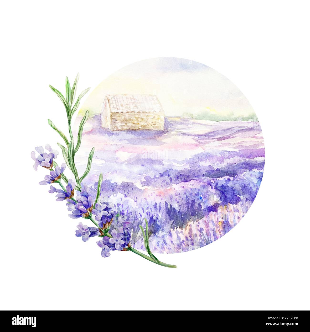 Lavender field with house and twig. Watercolor illustration of Provencal flowers isolated. For birthday cards, wedding invitations, cosmetics labels. Stock Photo