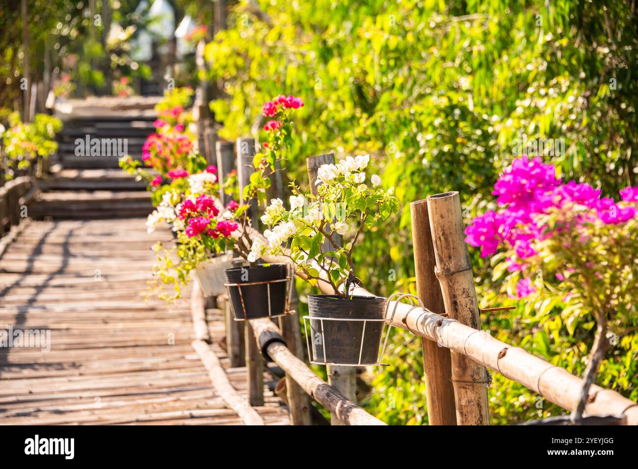 Wooden bridge in Vietnam among green plants Stock Photo - Alamy