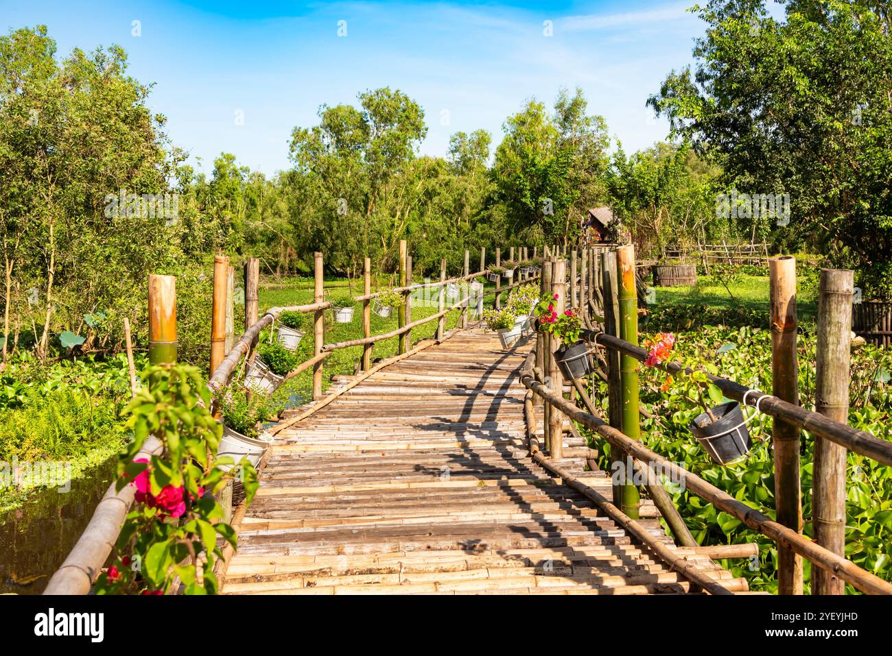 Wooden bridge in Vietnam among green plants Stock Photo - Alamy