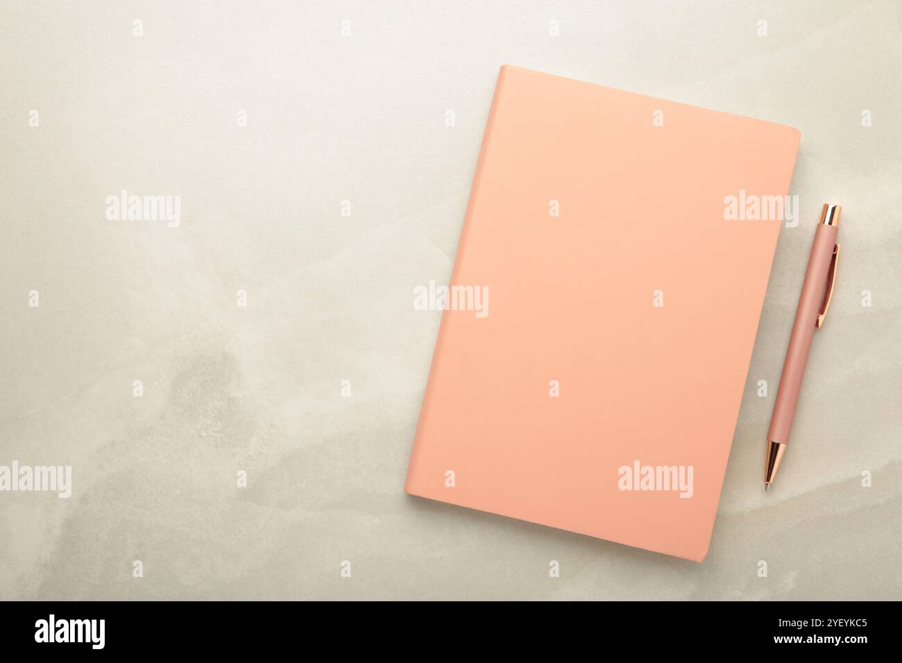 Notebooks and pen on light background, top view Stock Photo