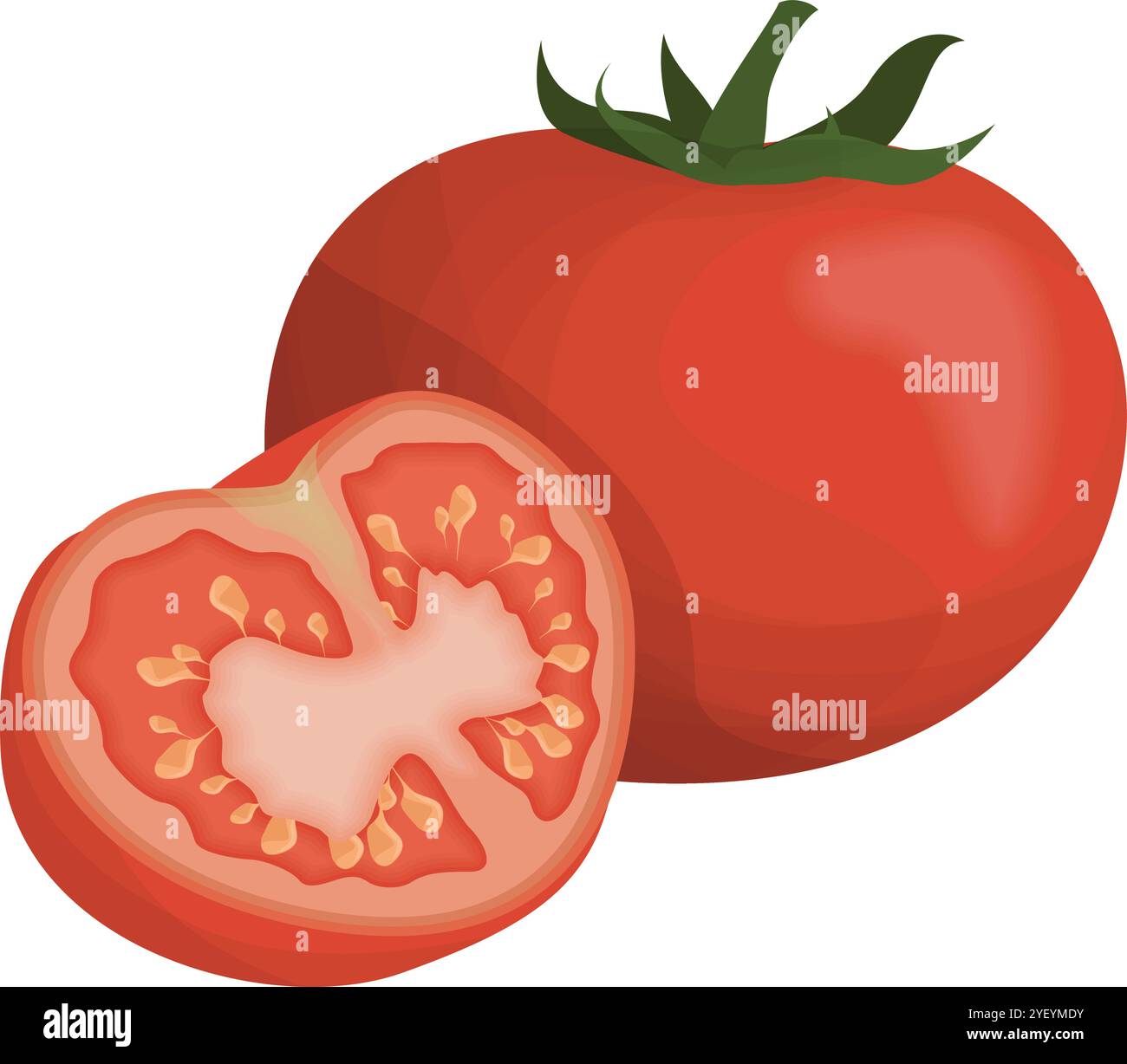 Vibrant Tomato Symbol Vector Design for Healthy Food Graphics Stock Vector