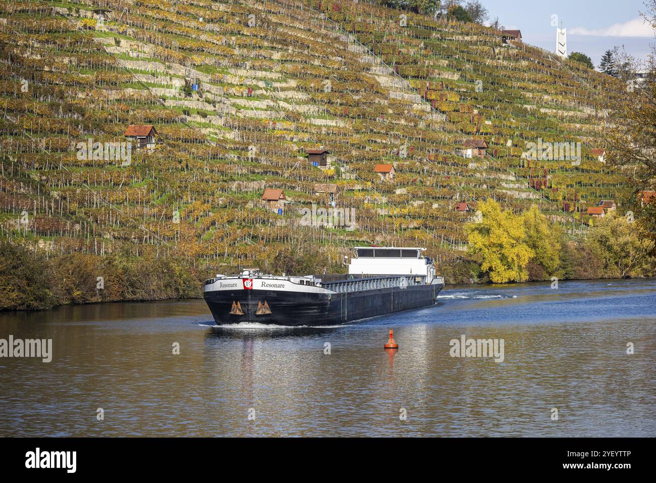 Barge RESONARE underway on the Neckar, vineyards in autumn. The barge has an overall length of 105 metres, maximum length for the locks on the upper N Stock Photo