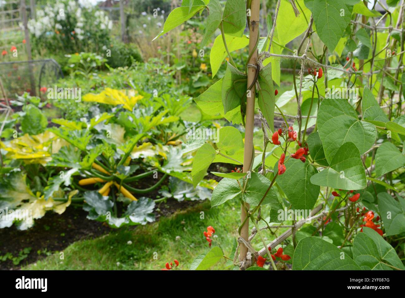 Beyond the bean hi-res stock photography and images - Alamy