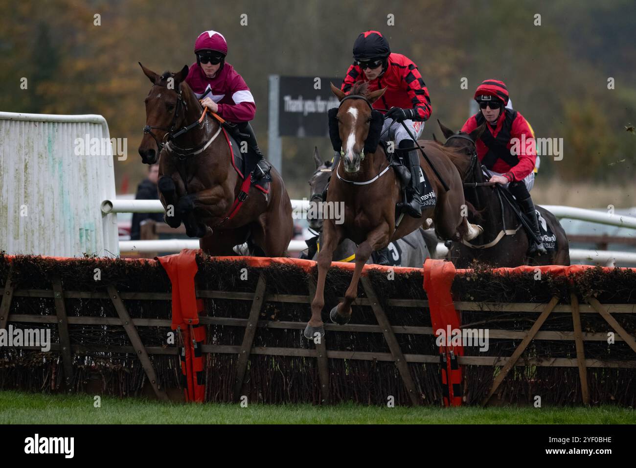 Down Royal, Northern Ireland. Saturday 2nd November 2024. Prairie Angel and Danny Mullins win the Lisburn and Castlereagh City Council 3-Y-O Hurdle for trainer Joseph Patrick O'Brien and owners Sean Sweeney & Kieran O'Hare Credit: JTW Equine Images/Alamy Live News Credit: JTW Equine Images/Alamy Live News Credit: JTW Equine Images/Alamy Live News Stock Photo