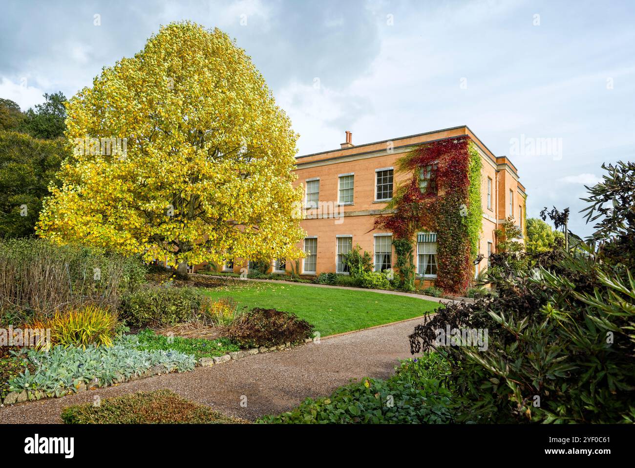 Killerton House with autumnal trees  near Exeter, Devon, UK on 20 October 2024 Stock Photo