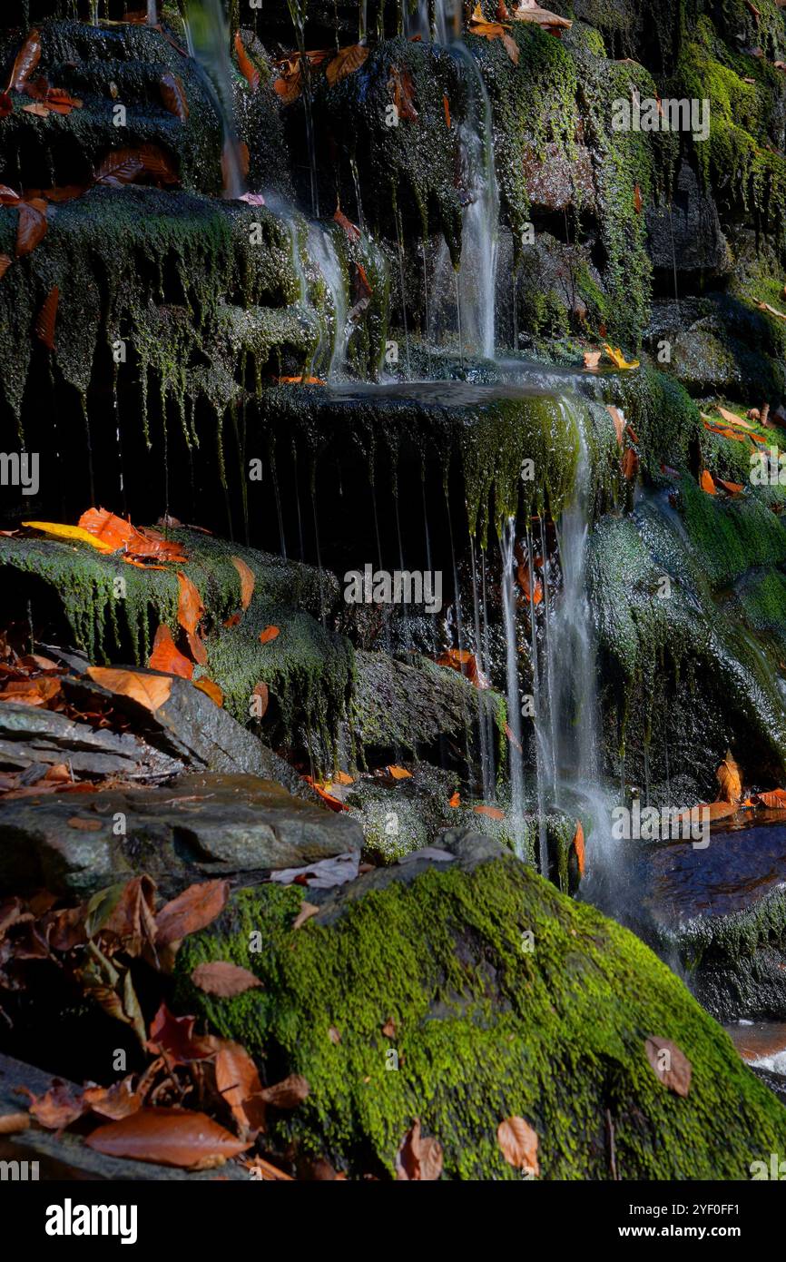 Closeup of water dripping over moss-covered rocks Stock Photo