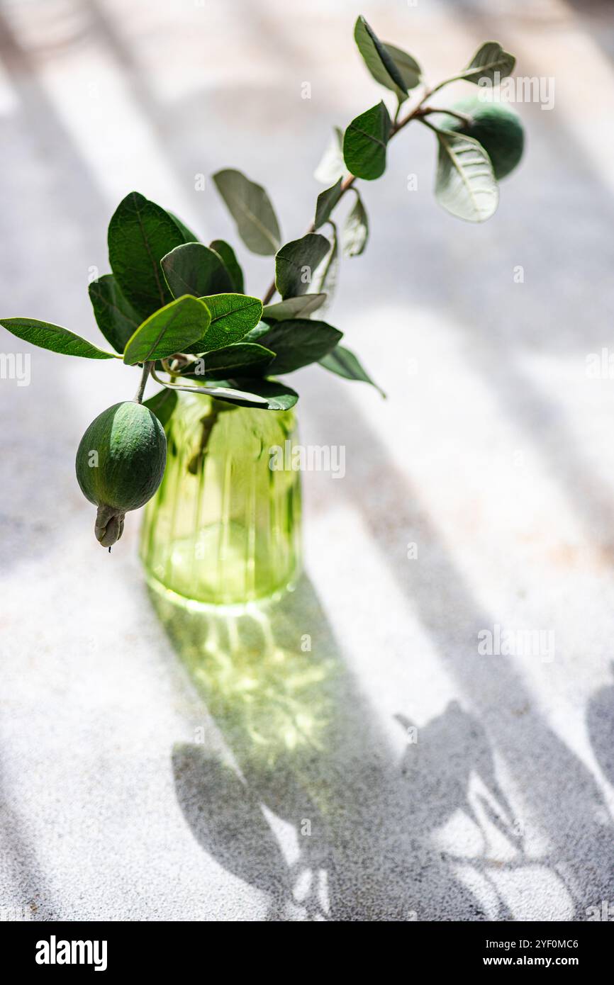 Close-up of a green Glass green vase with Feijoa fruit and branch on a table Stock Photo
