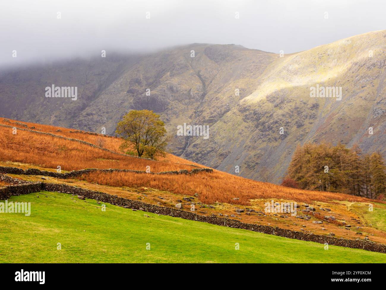 Lake District Fells Stock Photo - Alamy