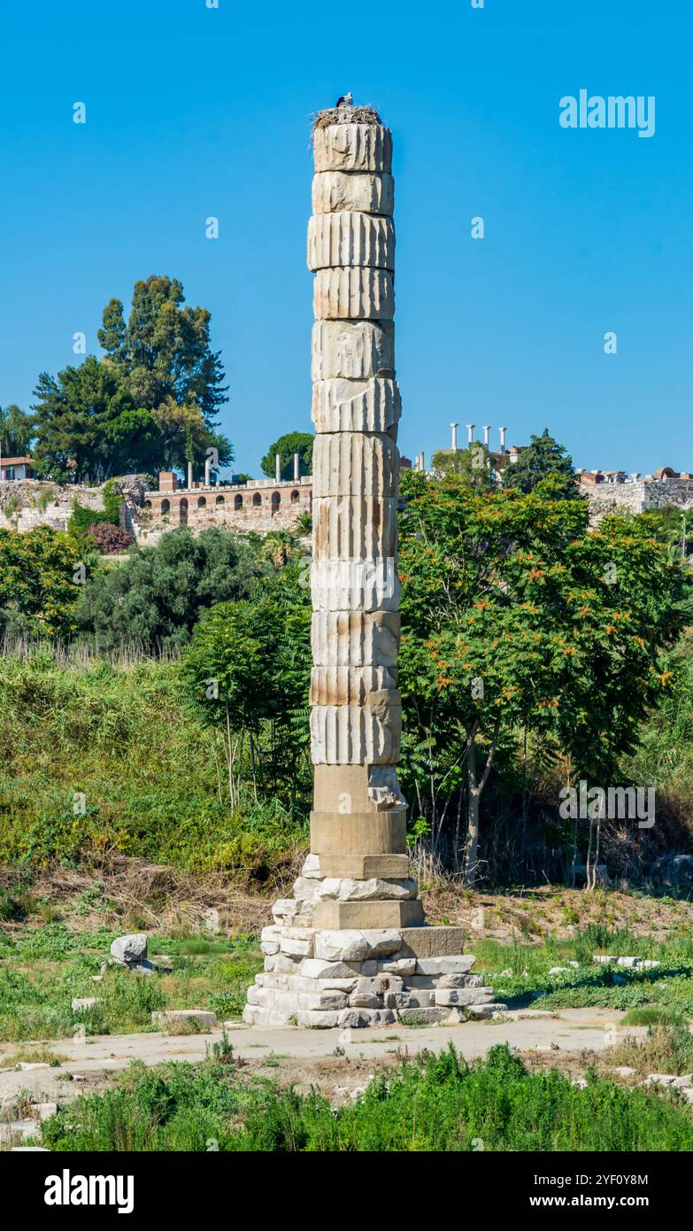 Ancient Wonder of the World Temple of Artemis Ruins in the Ancient