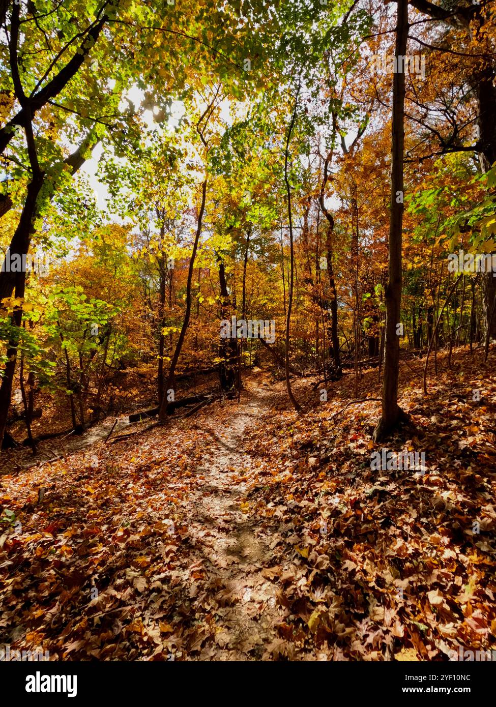 Philadelphia park and trees hi-res stock photography and images - Alamy