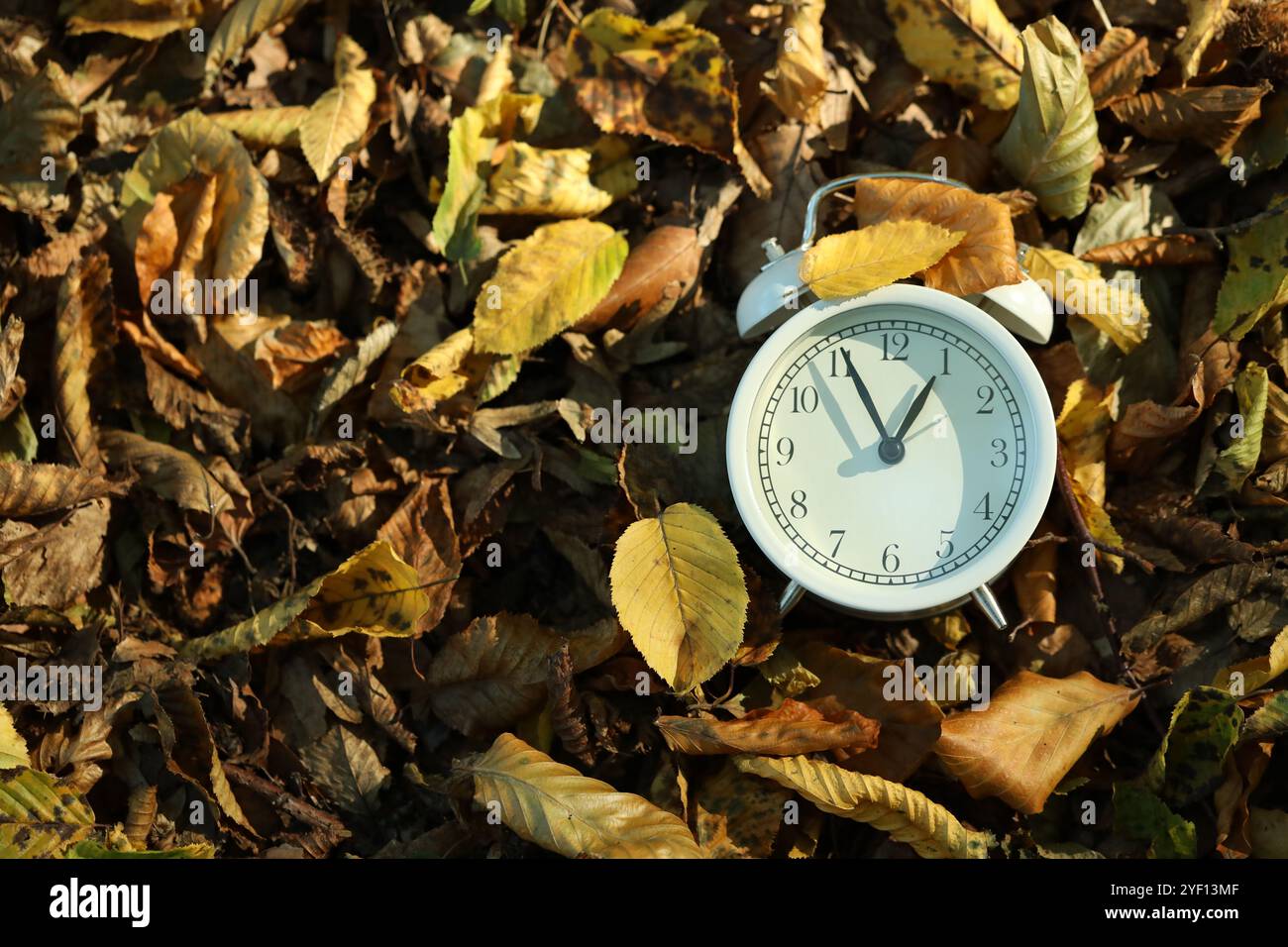 Alarm clock on fallen dry leaves outdoors, top view. Space for text ...