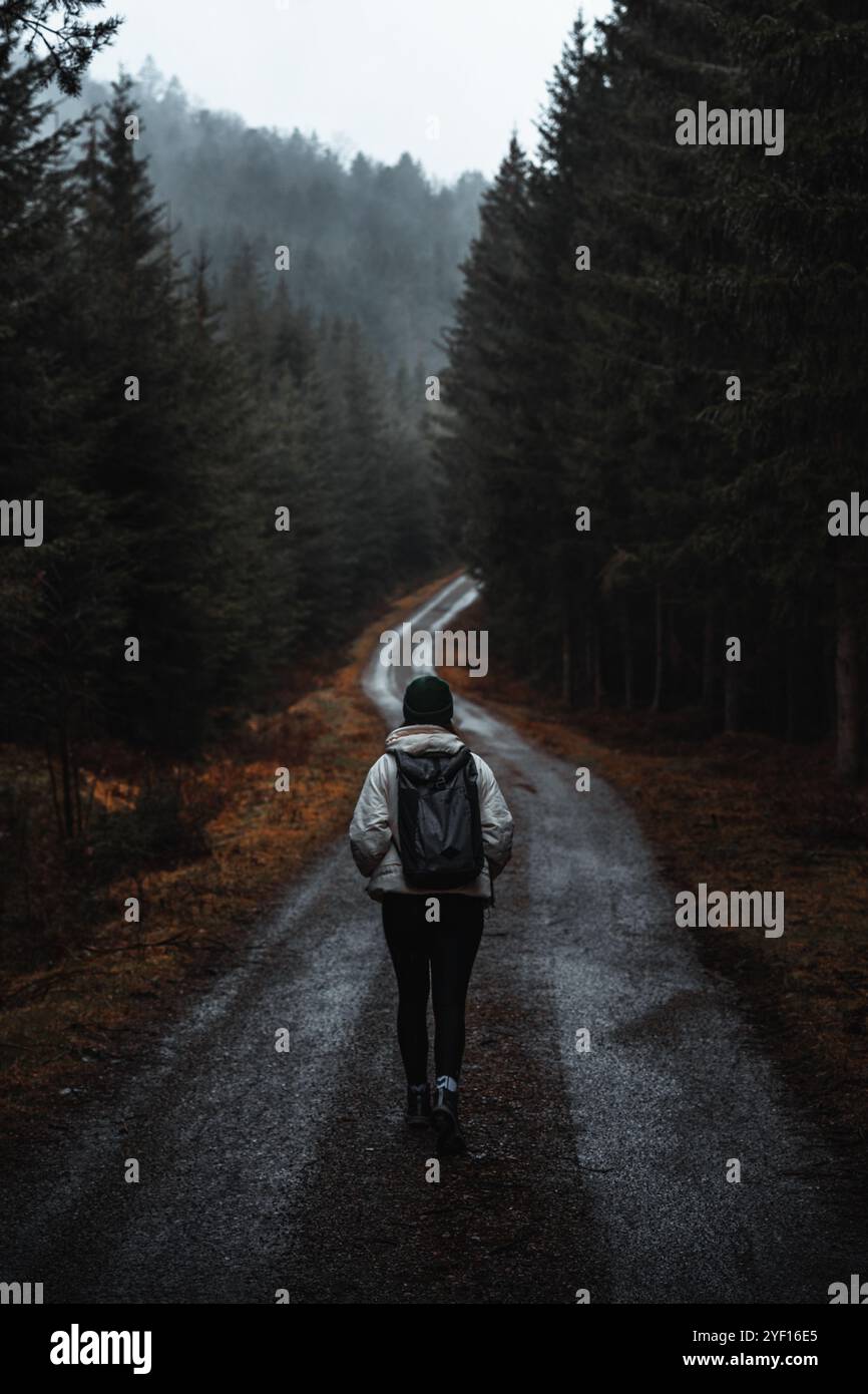 Woman in moody pine forest hi-res stock photography and images - Alamy