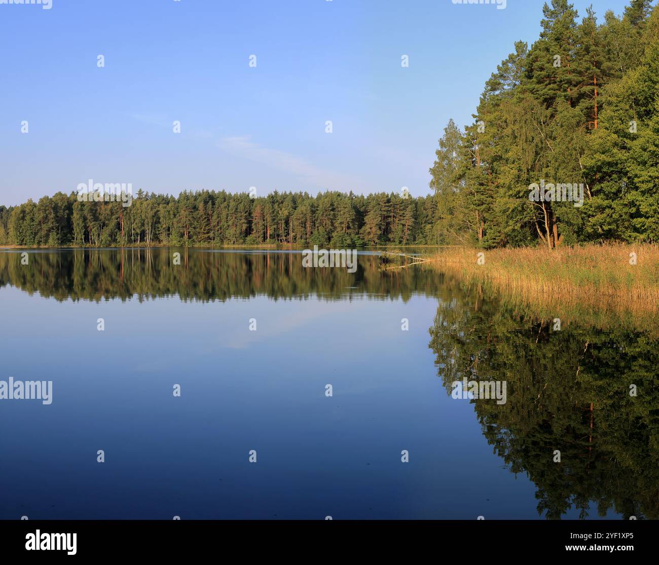 The scenic view of Baltis Lake calm mirror like waters in early morning (Lithuania). Stock Photo