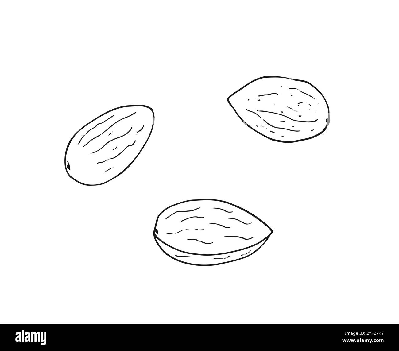 Almond nuts set. Hand-drawn botanical illustration. Stock Vector