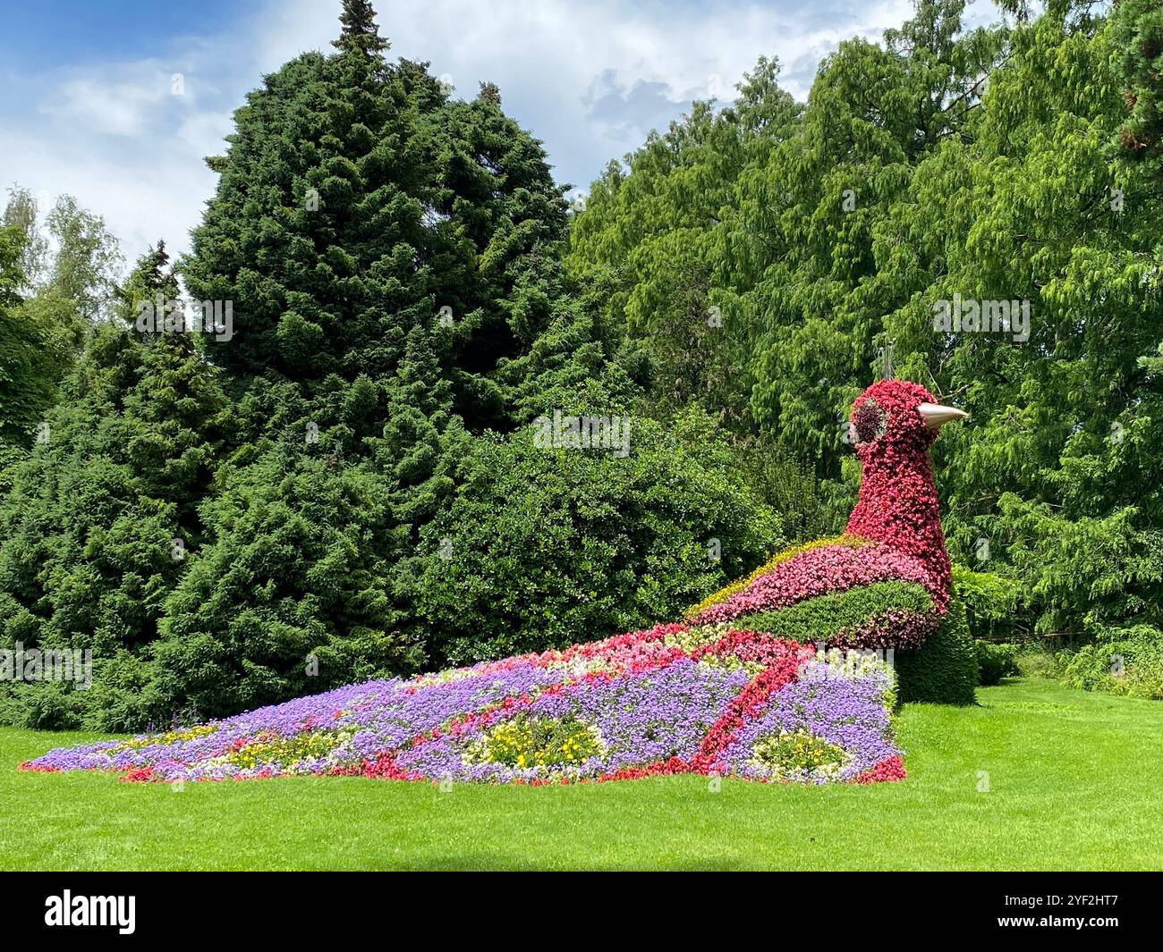 Colorful Flower Sculpture of Bird in Lush Green Park - Smartphone Captured Stock Image