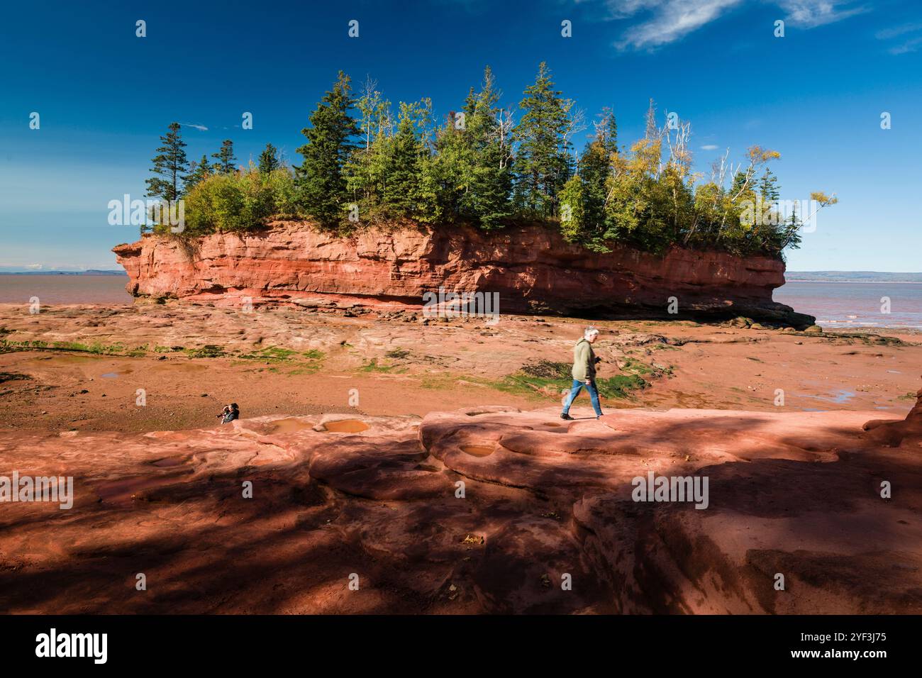 Burntcoat Head Park   Maitland, Nova Scotia, CAN Stock Photo