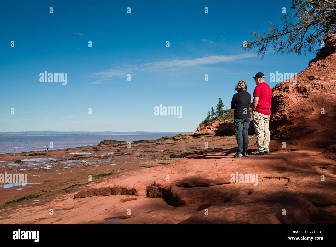 Burntcoat Head Park   Maitland, Nova Scotia, CAN Stock Photo