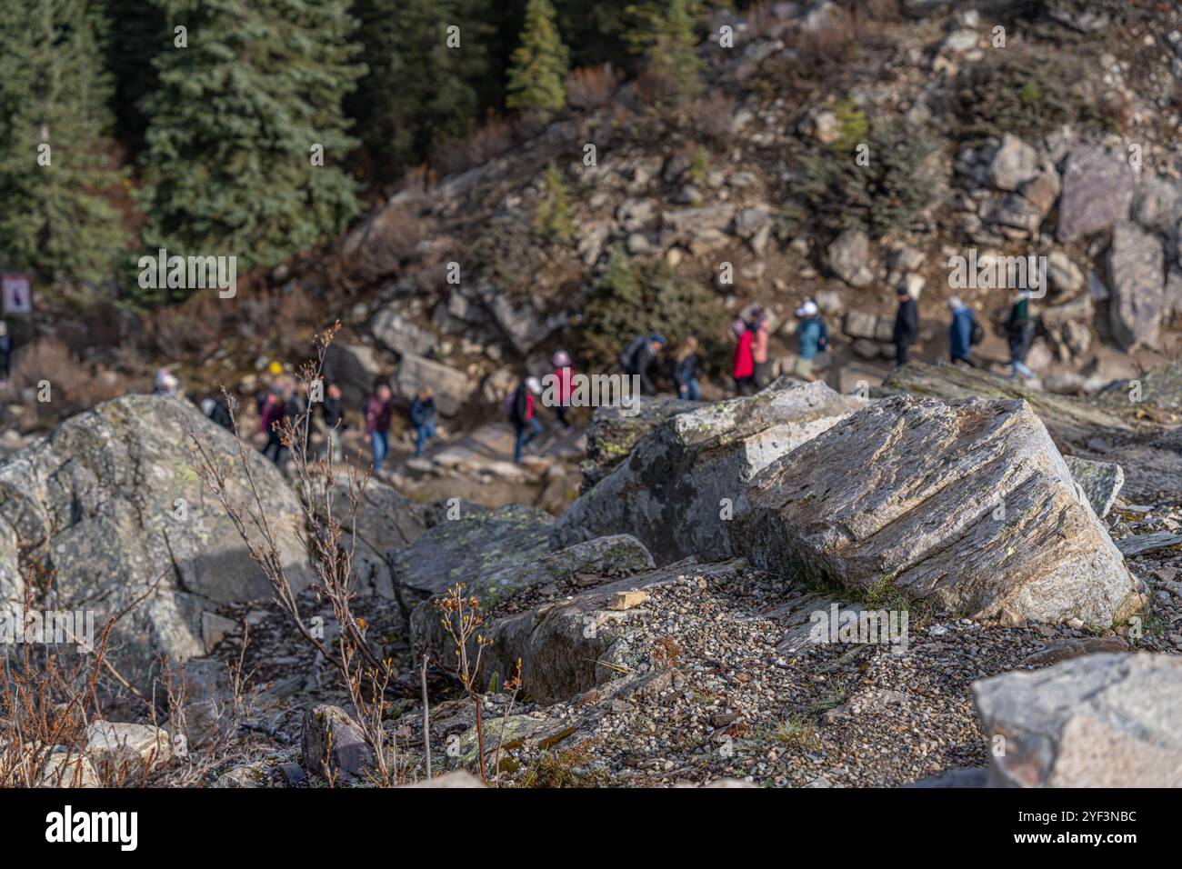 People hiking a mountain trail in the Banff National Park Stock Photo