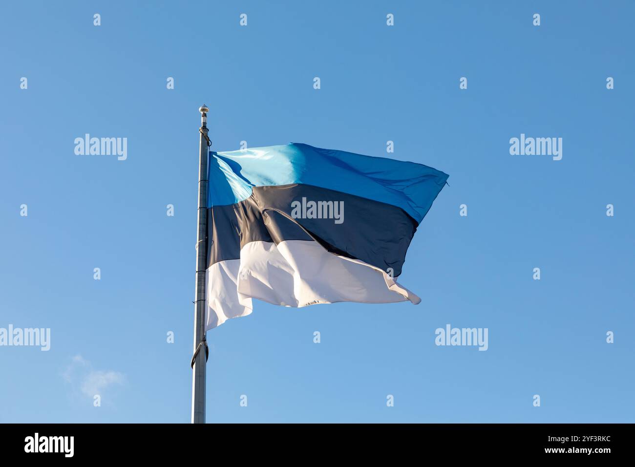 estonian flag fluttering in the wind under blue sky Stock Photo - Alamy