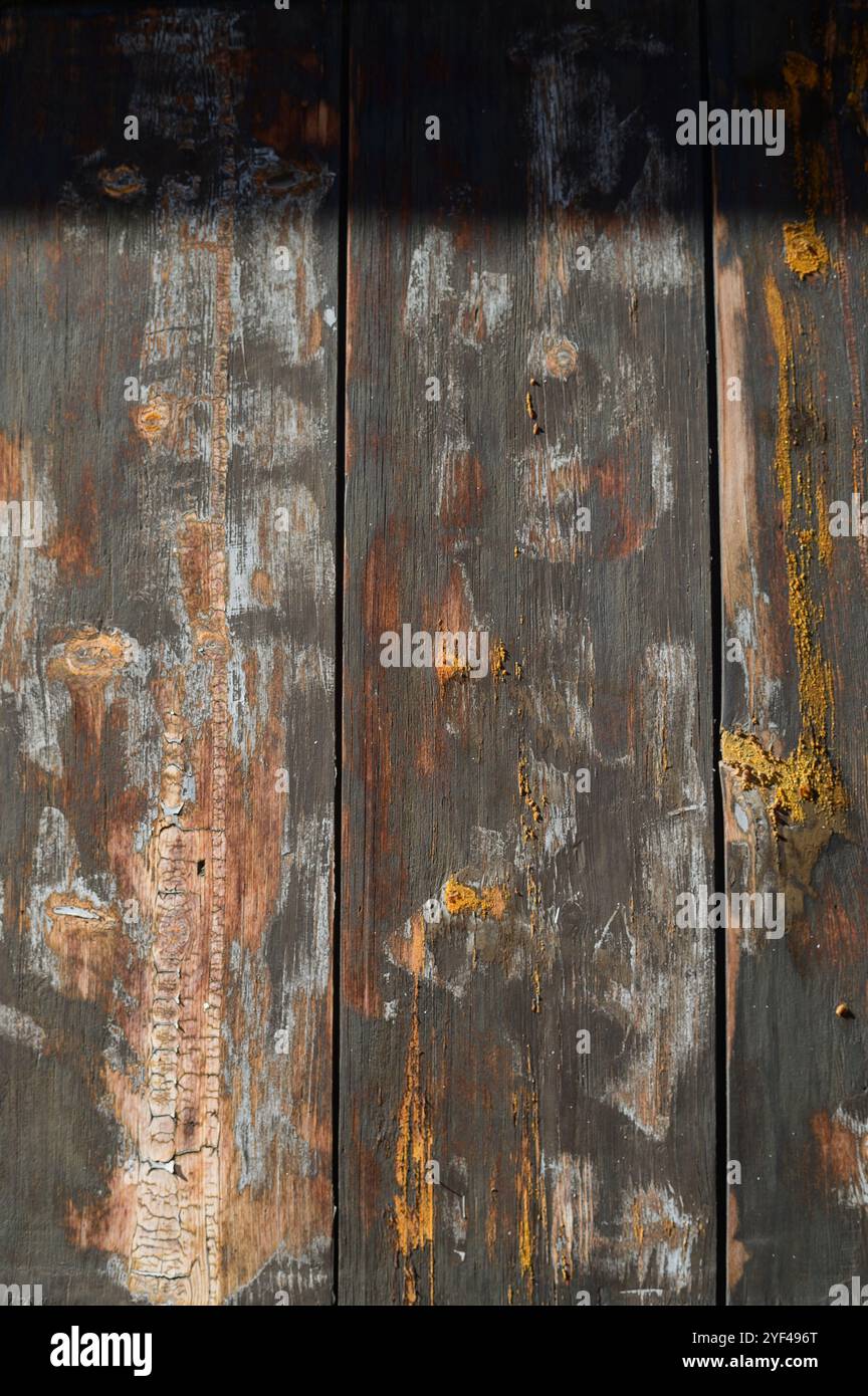 Sunlight reveals colorful textures and patterns on aged wooden planks ...