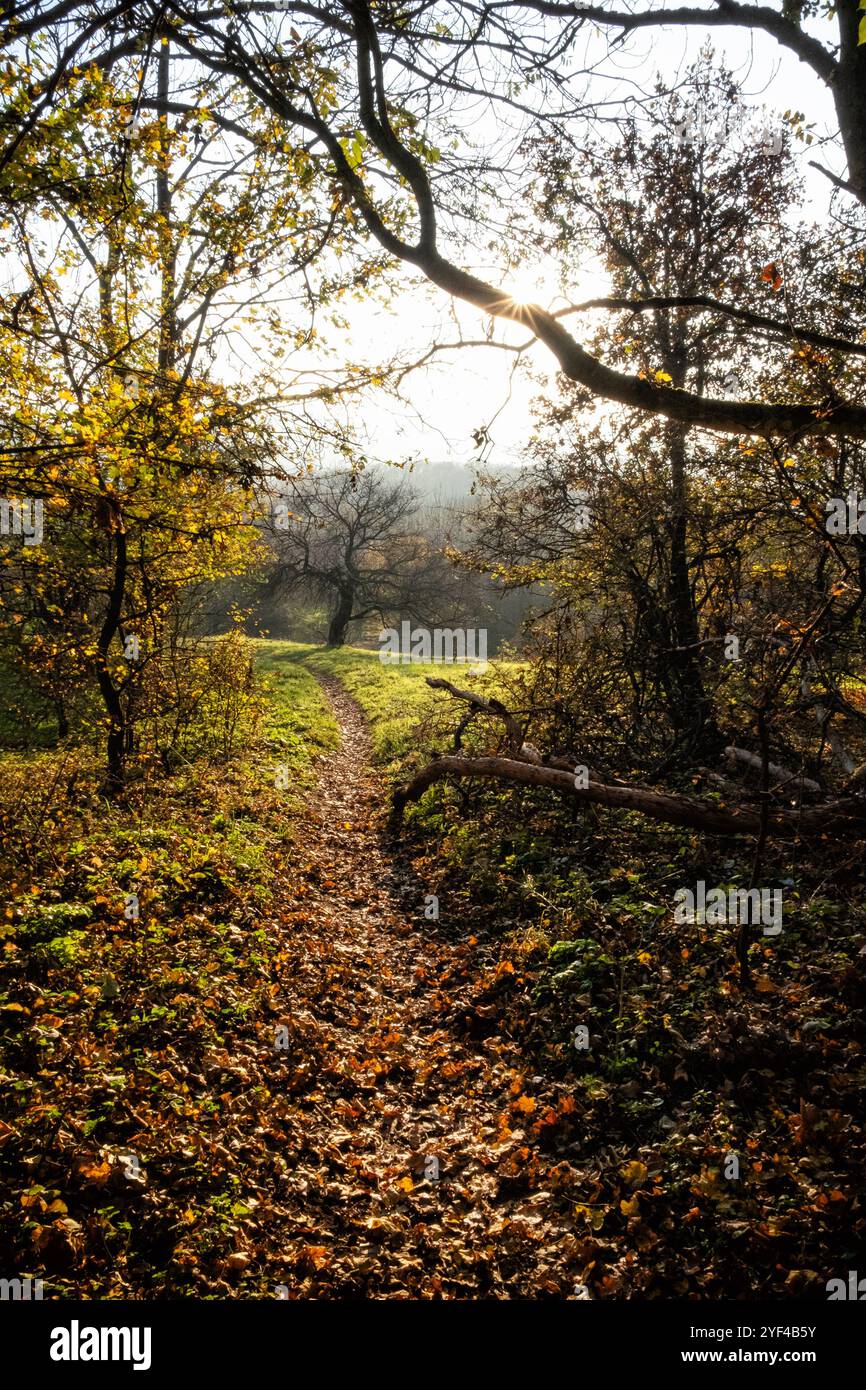 Tribec mountains hi-res stock photography and images - Alamy