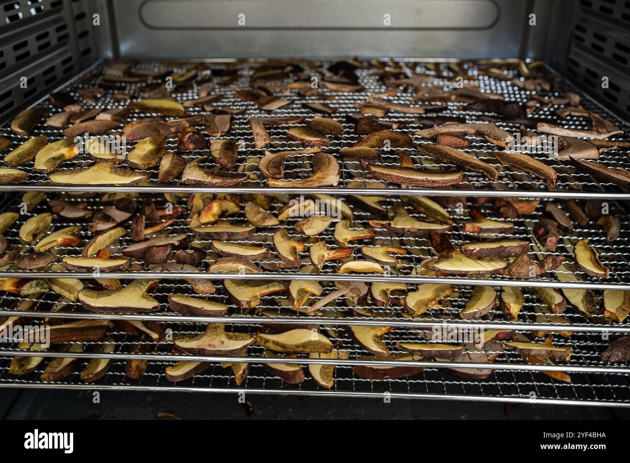 The image shows a food dehydrator packed with numerous pieces of ...