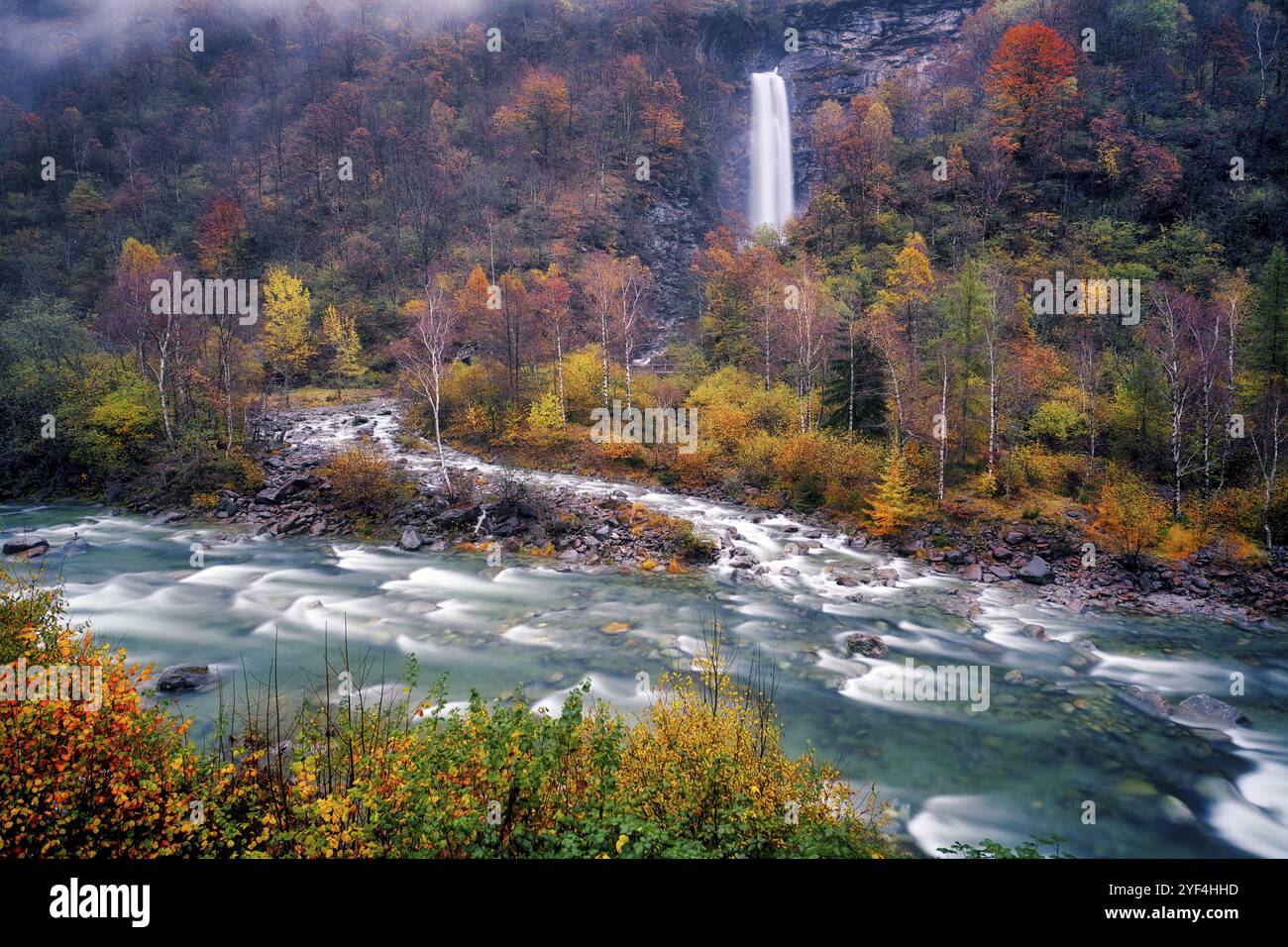 Versasca Waterfall with Verzasca river surrounded by autumn coloured deciduous ...