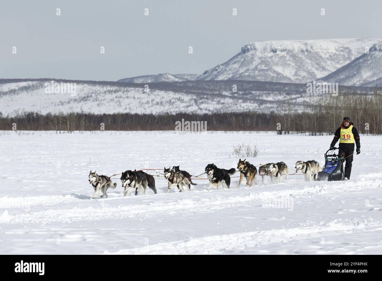 Team Racing Beringa Team run far hi-res stock photography and images - Alamy