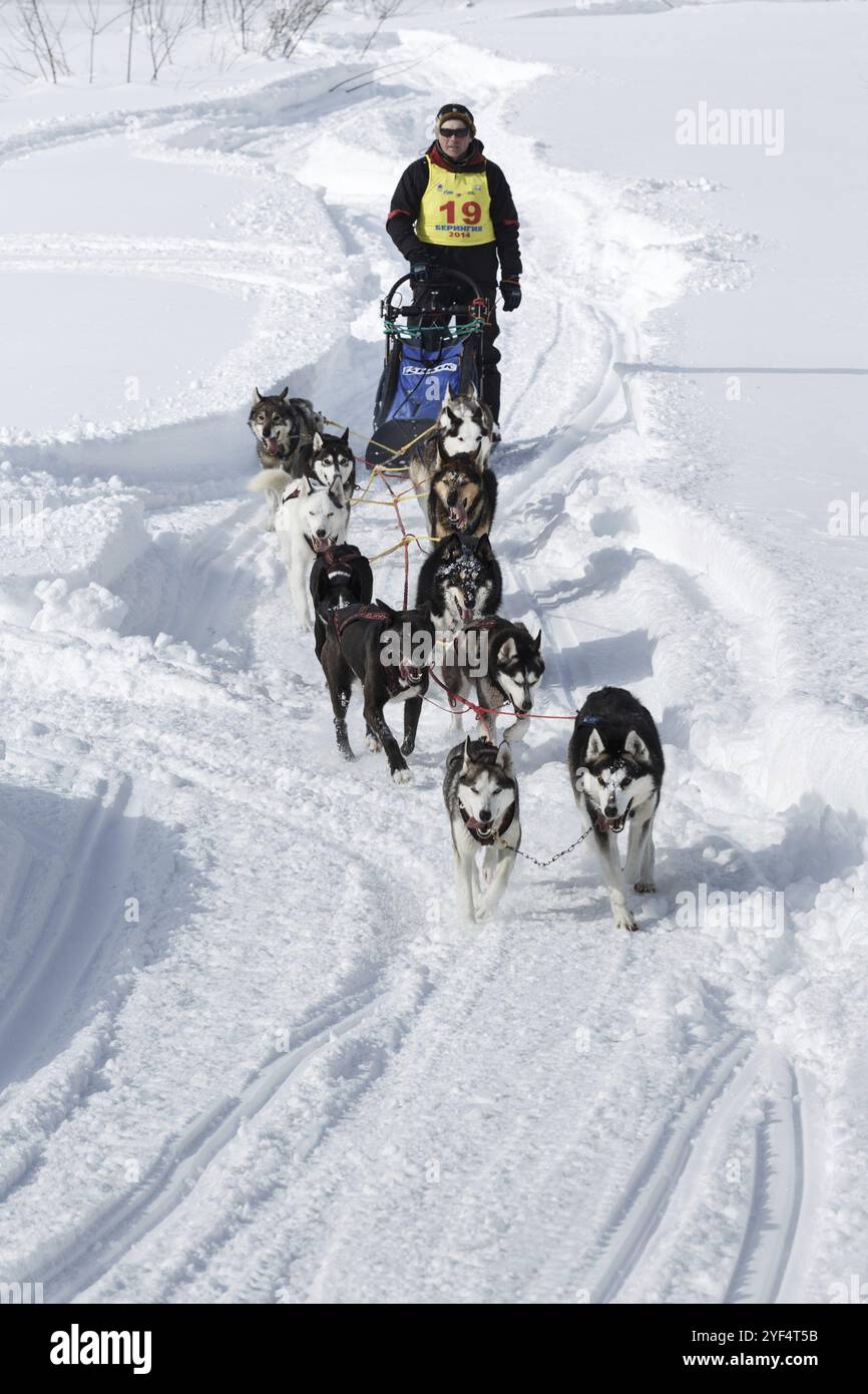 Team Racing Beringa Team run far hi-res stock photography and images - Alamy
