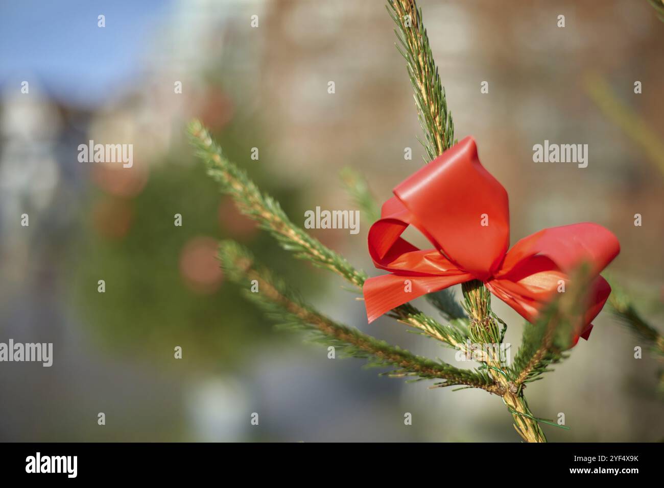 Big beautiful Christmas Tree with decorations and Illuminations in snowy night. New Year and Christmas holiday background. Festive winter city landsca Stock Photo