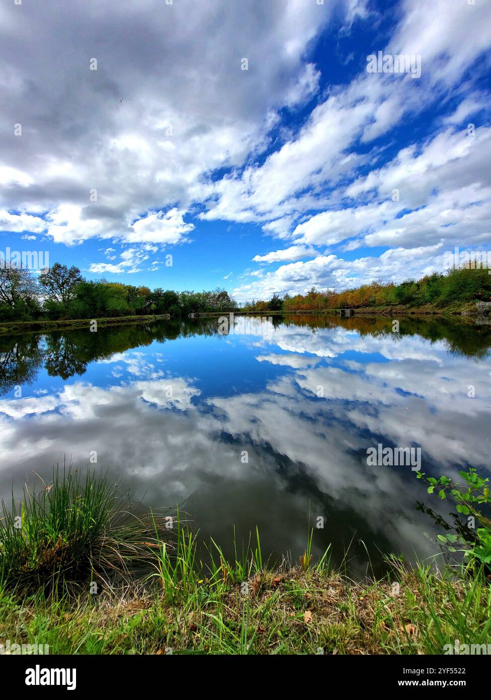 Close-up fall leaves - Smartphone Captured Stock Image