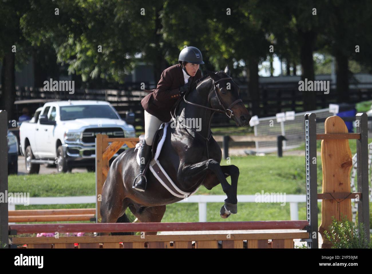 Ushja international hunter derby championships 2024 hires stock