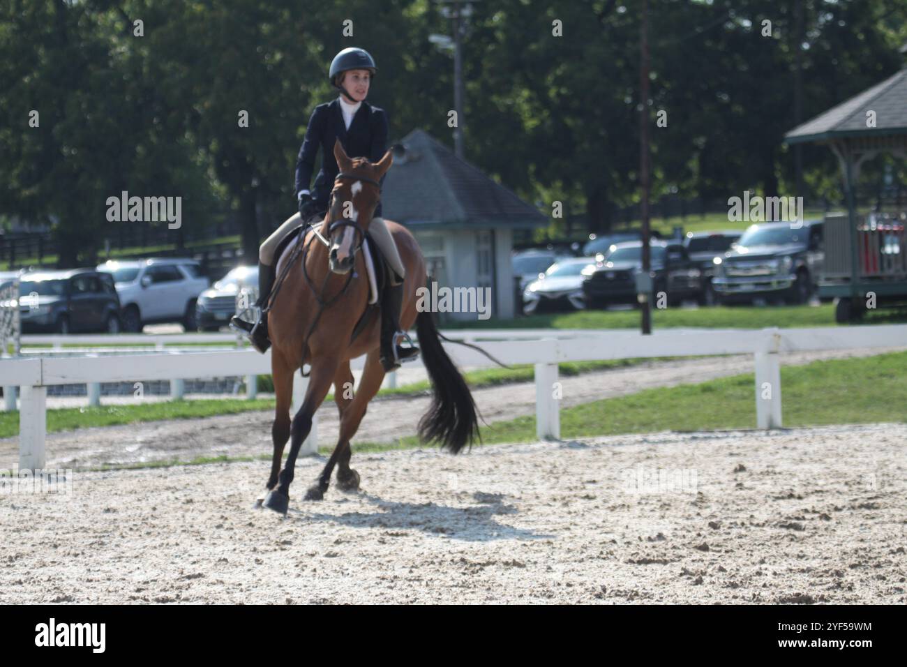 Ushja international hunter derby championships 2024 hires stock