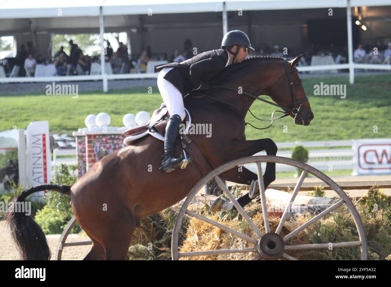 Ushja international hunter derby championships 2024 hires stock