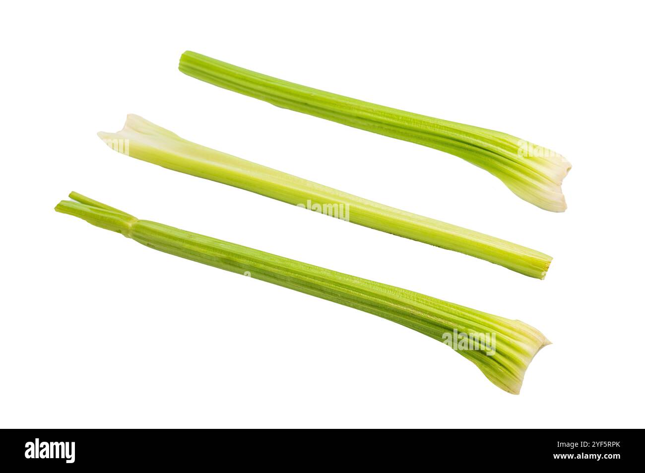 Fresh uncooked celery sticks isolated on white background, top view. Stock Photo
