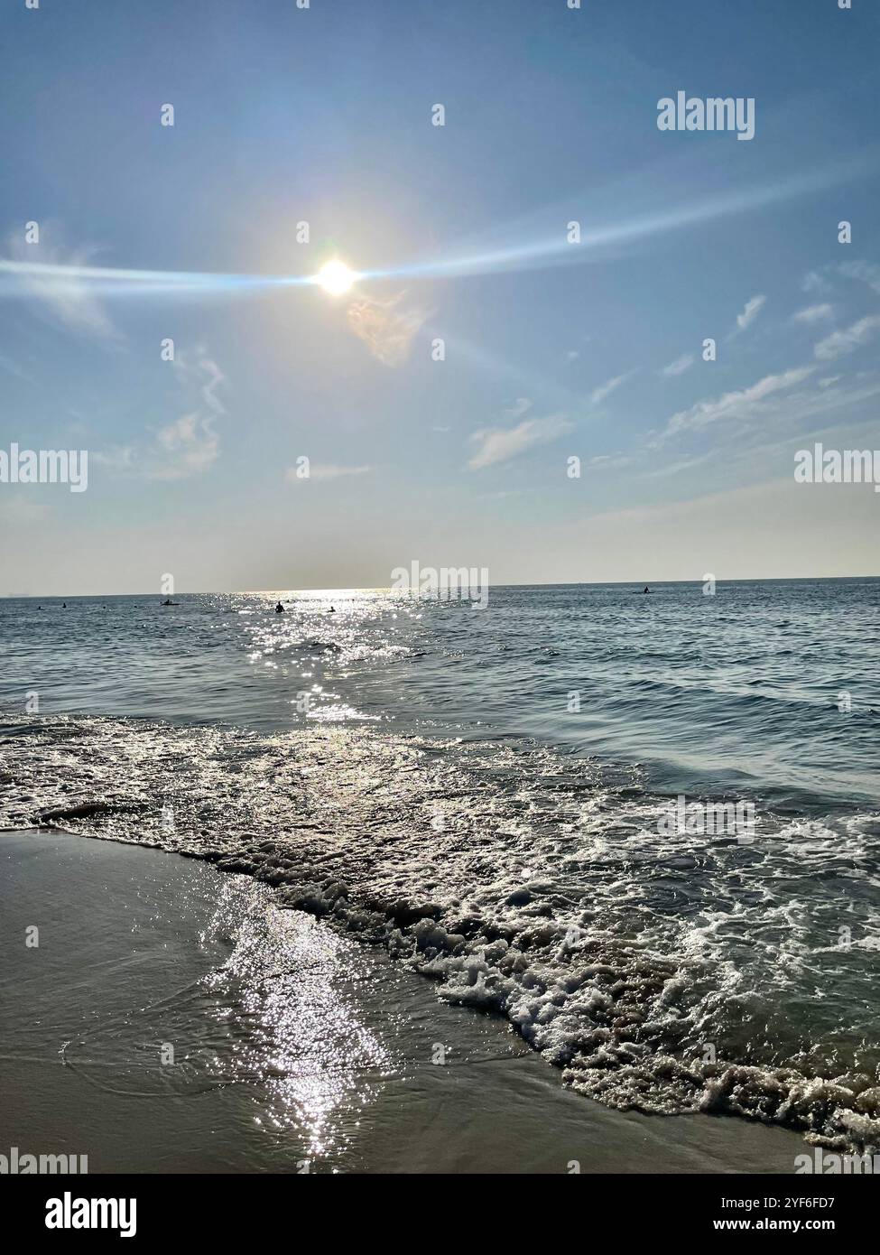 Nature in UAE - Smartphone Captured Stock Image