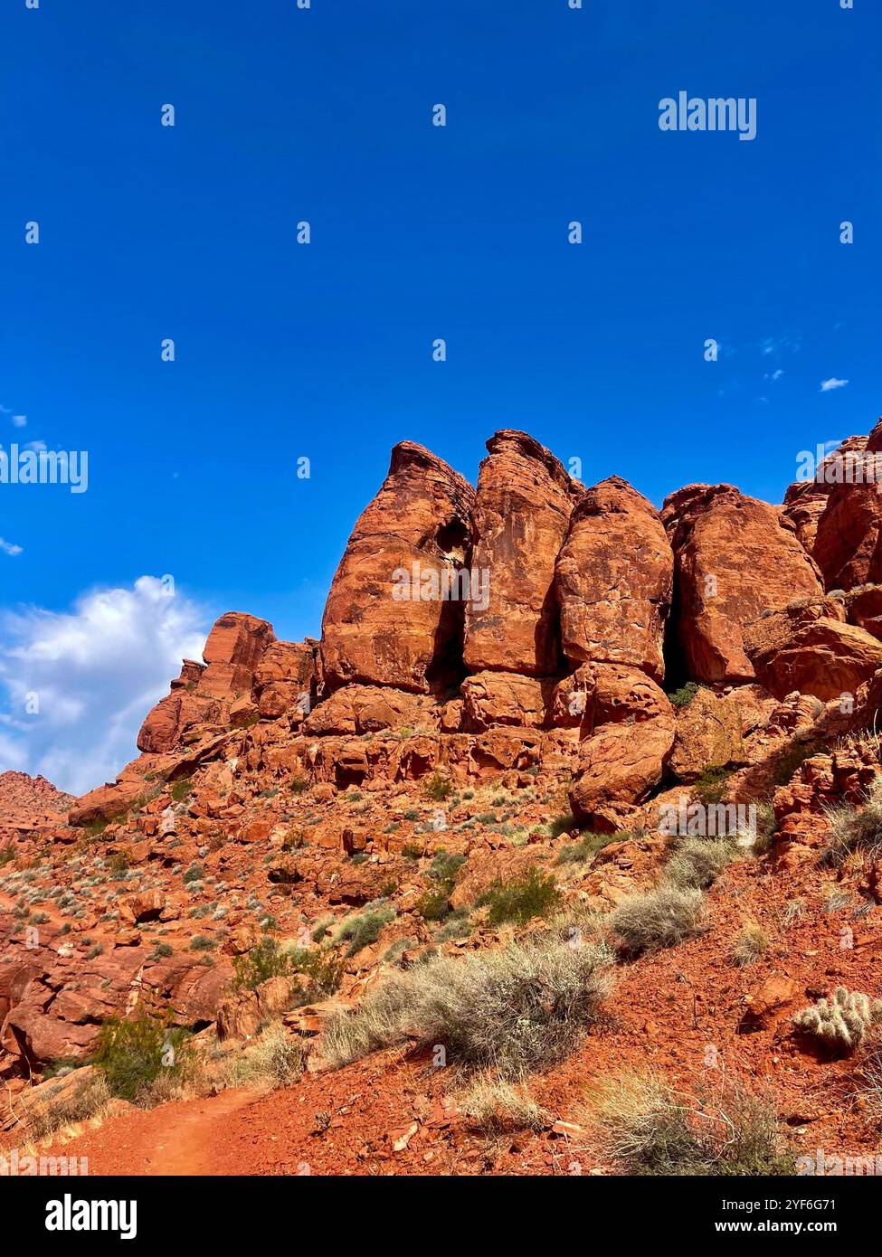 Seeking the views one hike at a time, adventure is out there! - Smartphone Captured Stock Image